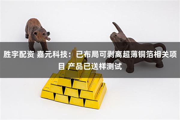 胜宇配资 嘉元科技：已布局可剥离超薄铜箔相关项目 产品已送样测试